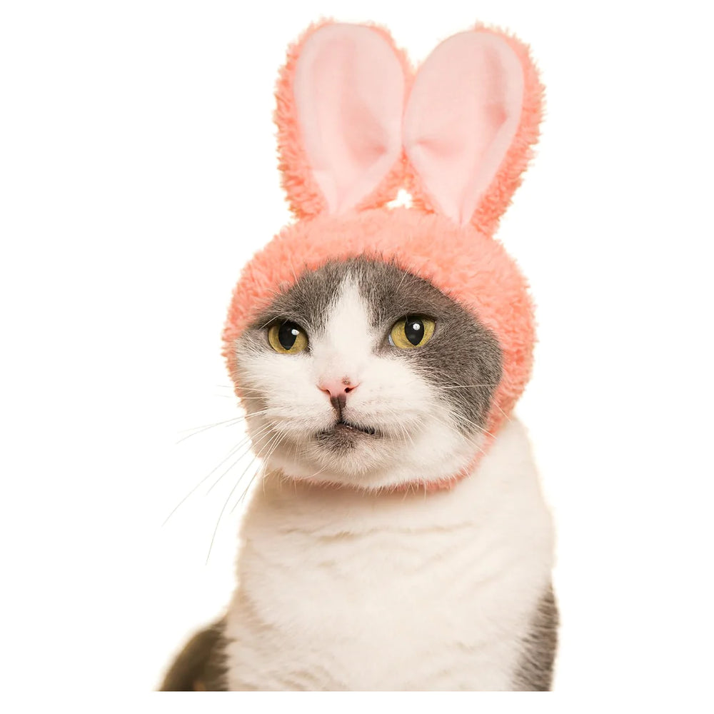 Blind Box - Bunny Cat Cap