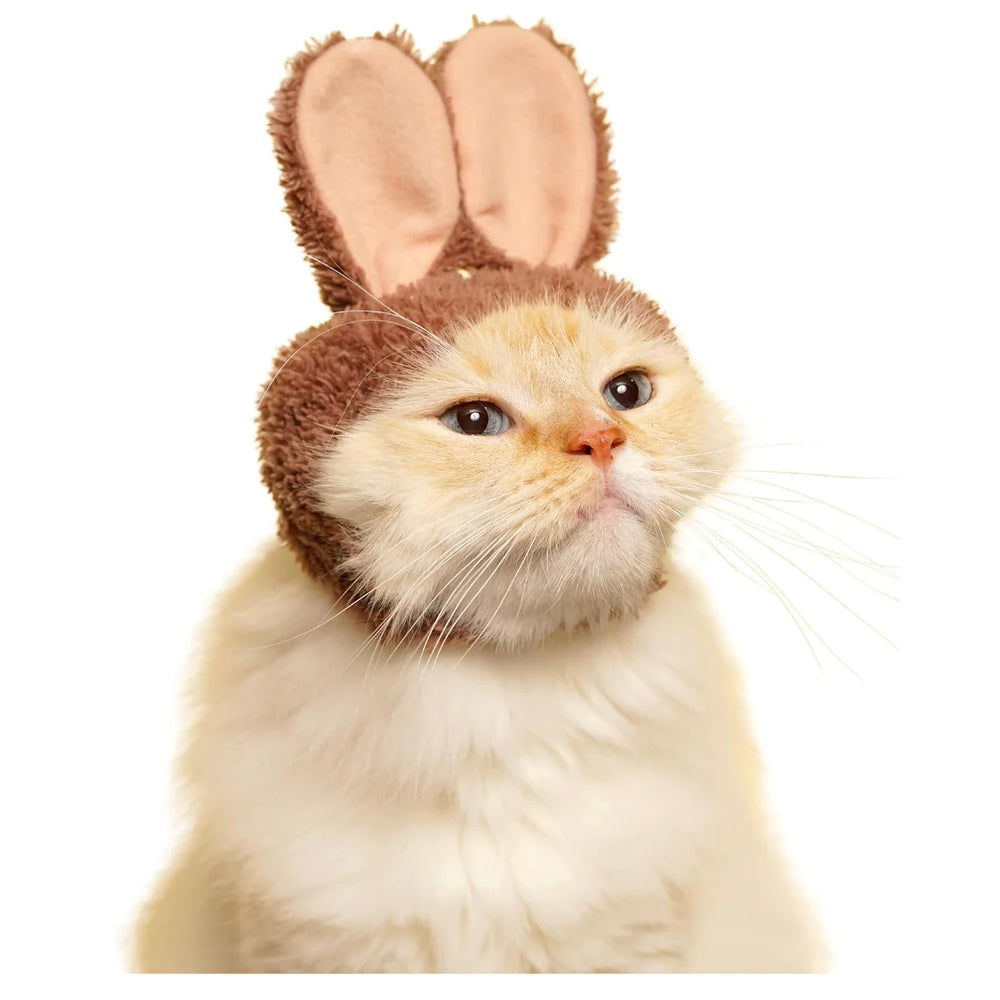 
                
                    Load image into Gallery viewer, Blind Box - Bunny Cat Cap
                
            