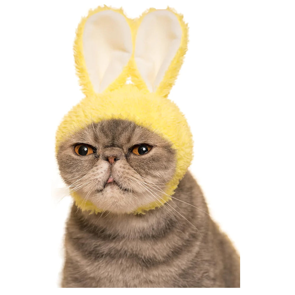 
                
                    Load image into Gallery viewer, Blind Box - Bunny Cat Cap
                
            