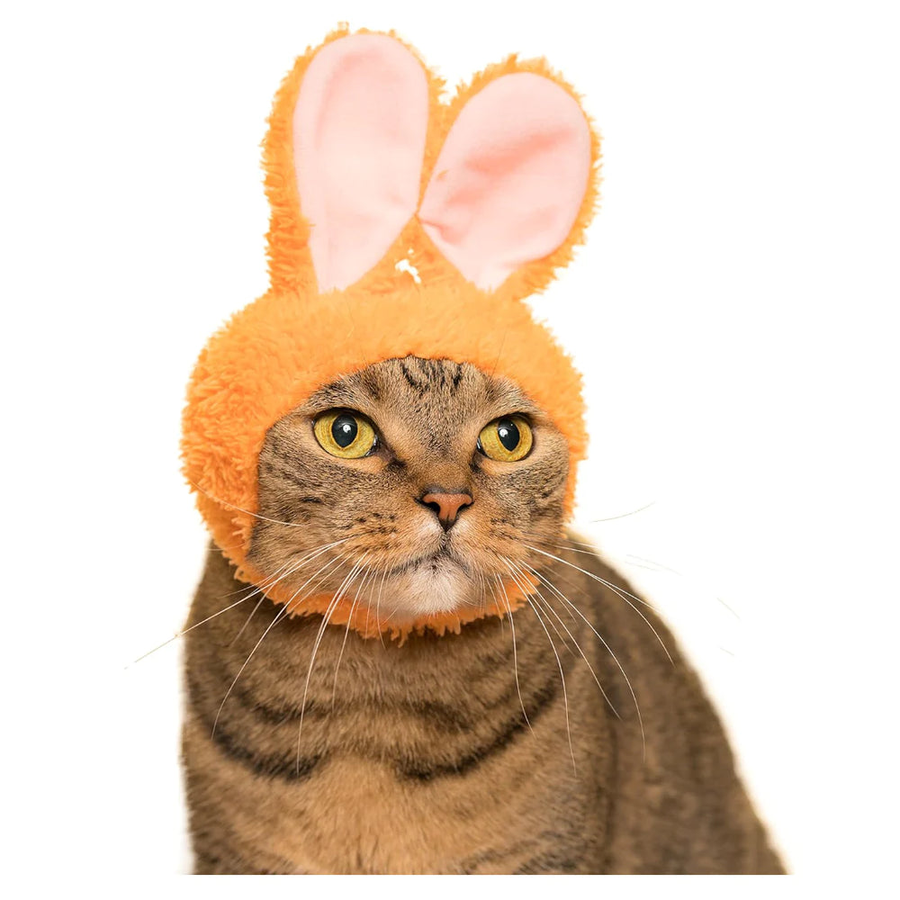 
                
                    Load image into Gallery viewer, Blind Box - Bunny Cat Cap
                
            