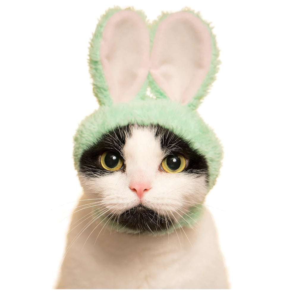 
                
                    Load image into Gallery viewer, Blind Box - Bunny Cat Cap
                
            