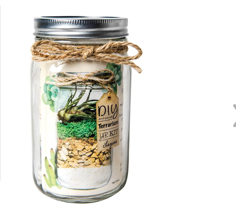 Terrarium Kit DIY Jar, Laguna, 32oz Mason Jar