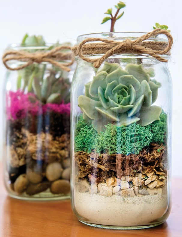 Terrarium Kit DIY Jar, Laguna, 32oz Mason Jar