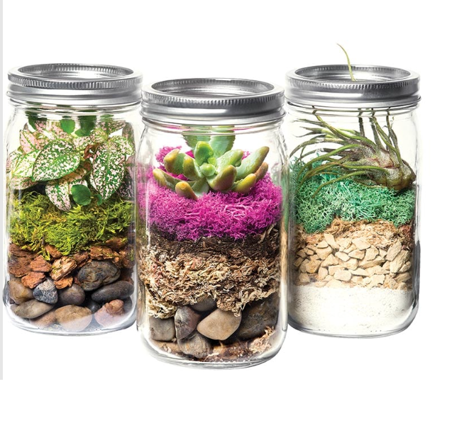 Terrarium Kit DIY Jar, Laguna, 32oz Mason Jar