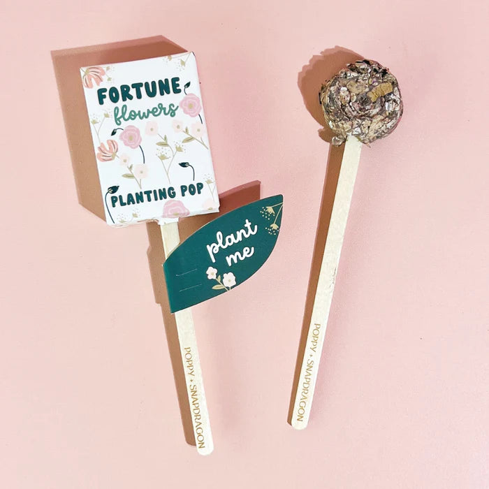 
                
                    Load image into Gallery viewer, Fortune Flowers Garden + Gift Seed Planting Pop
                
            