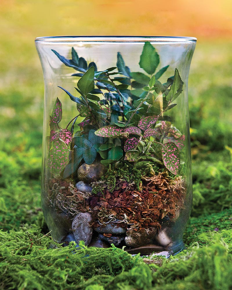 
                
                    Load image into Gallery viewer, Forest Terrarium Kit 8oz.
                
            