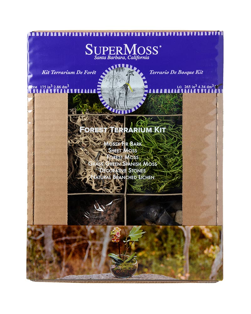 Forest Terrarium Kit 8oz.