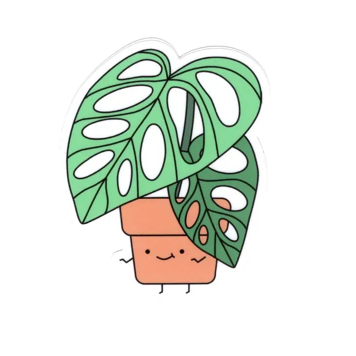 Monstera Adansonii Plant Vinyl Sticker