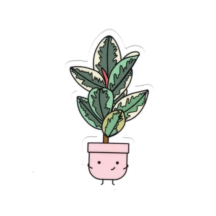 Ficus Tineke Vinyl Sticker