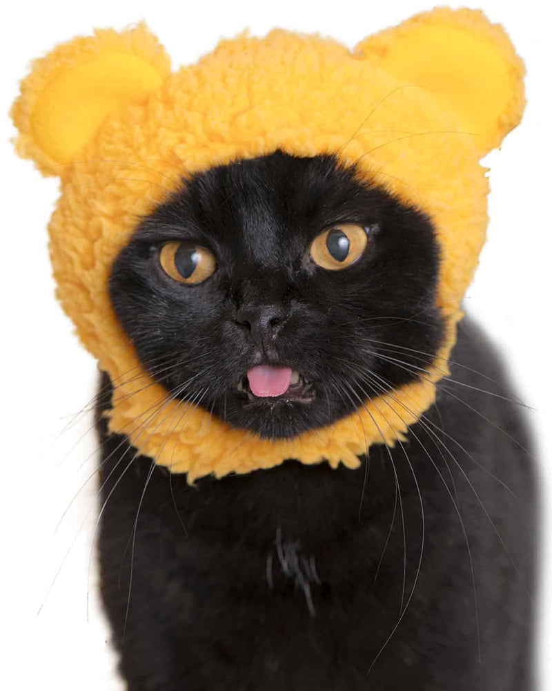 
                
                    Load image into Gallery viewer, Blind Box - Bear Cat Cap
                
            