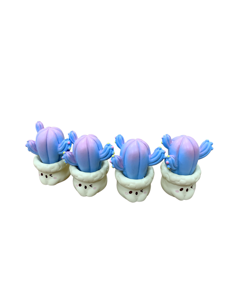 Micro Succulent Decoration