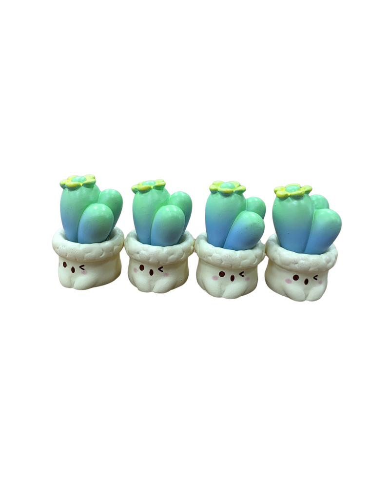 Micro Succulent Decoration