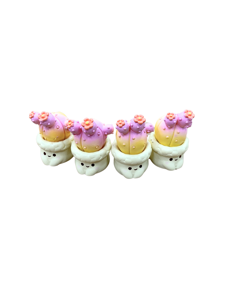 Micro Succulent Decoration