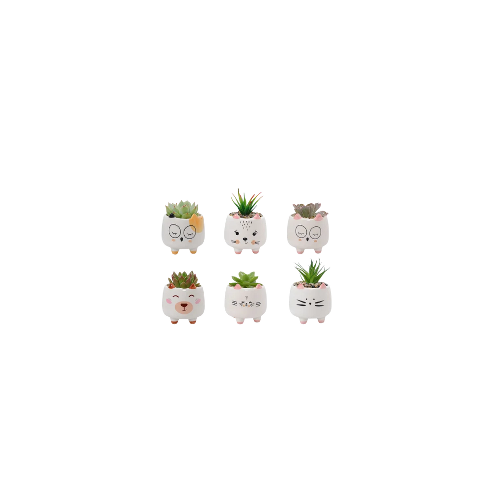 Cat Cup Series with Feet