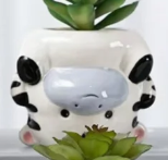 
                
                    Load image into Gallery viewer, Reverse Animal Series
                
            
