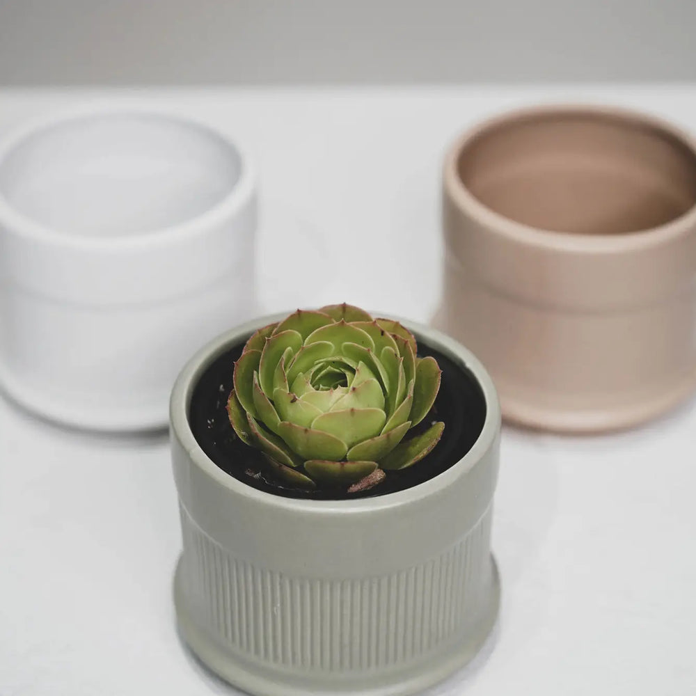 Three Coloured Column Pots