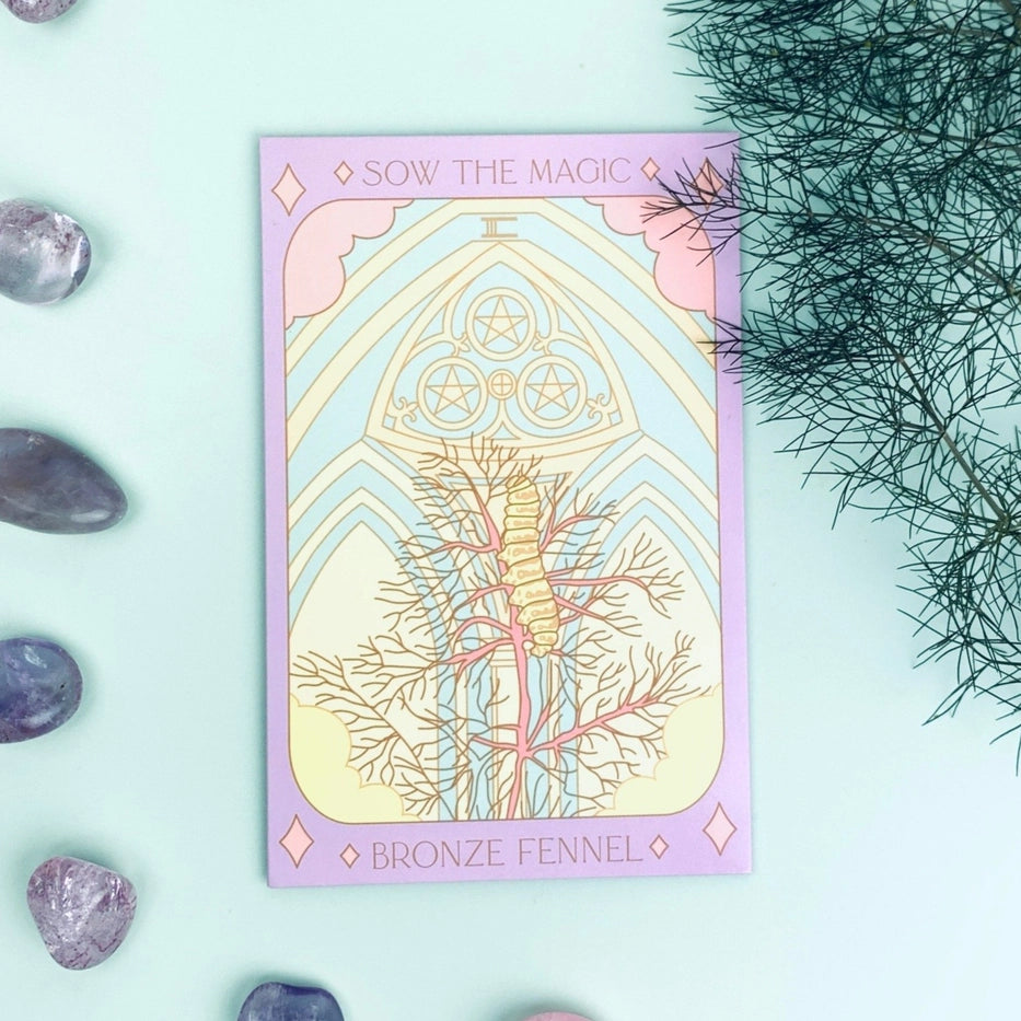 Tarot Flower & Vegetable Seed Collection
