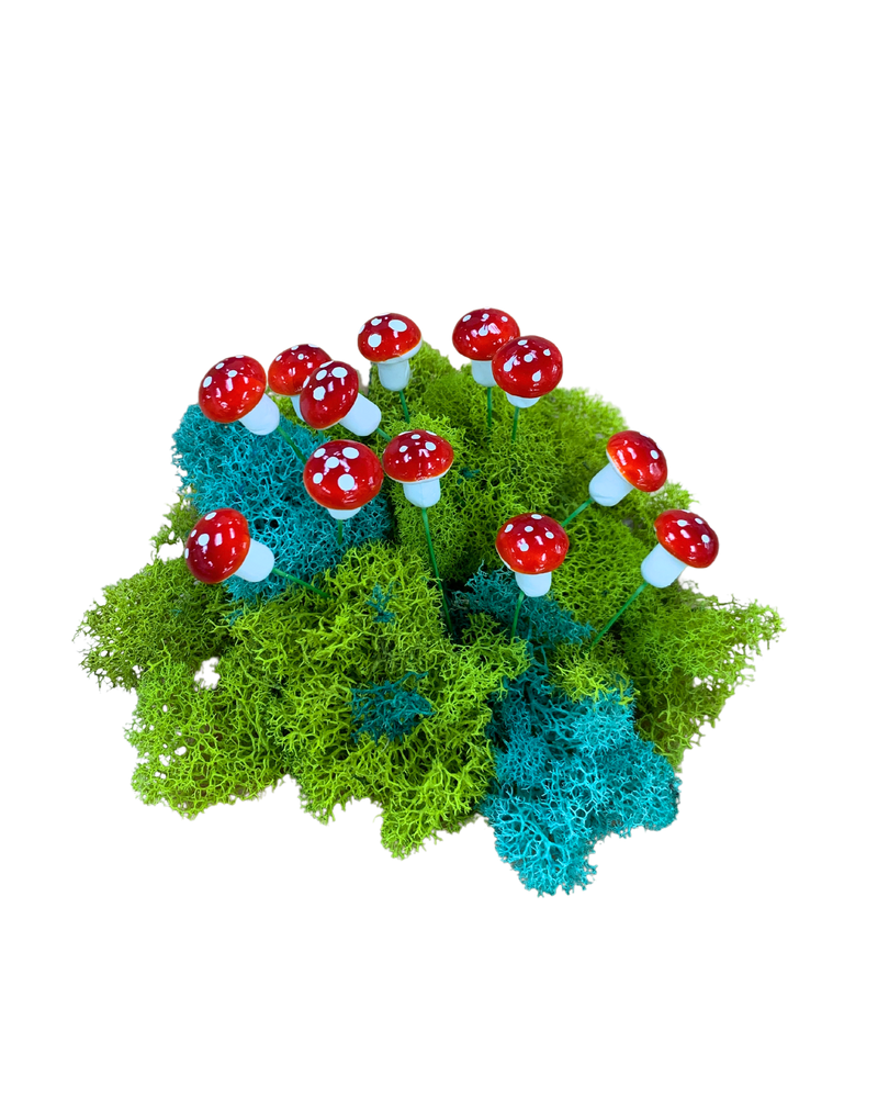 Micro Succulent Decoration