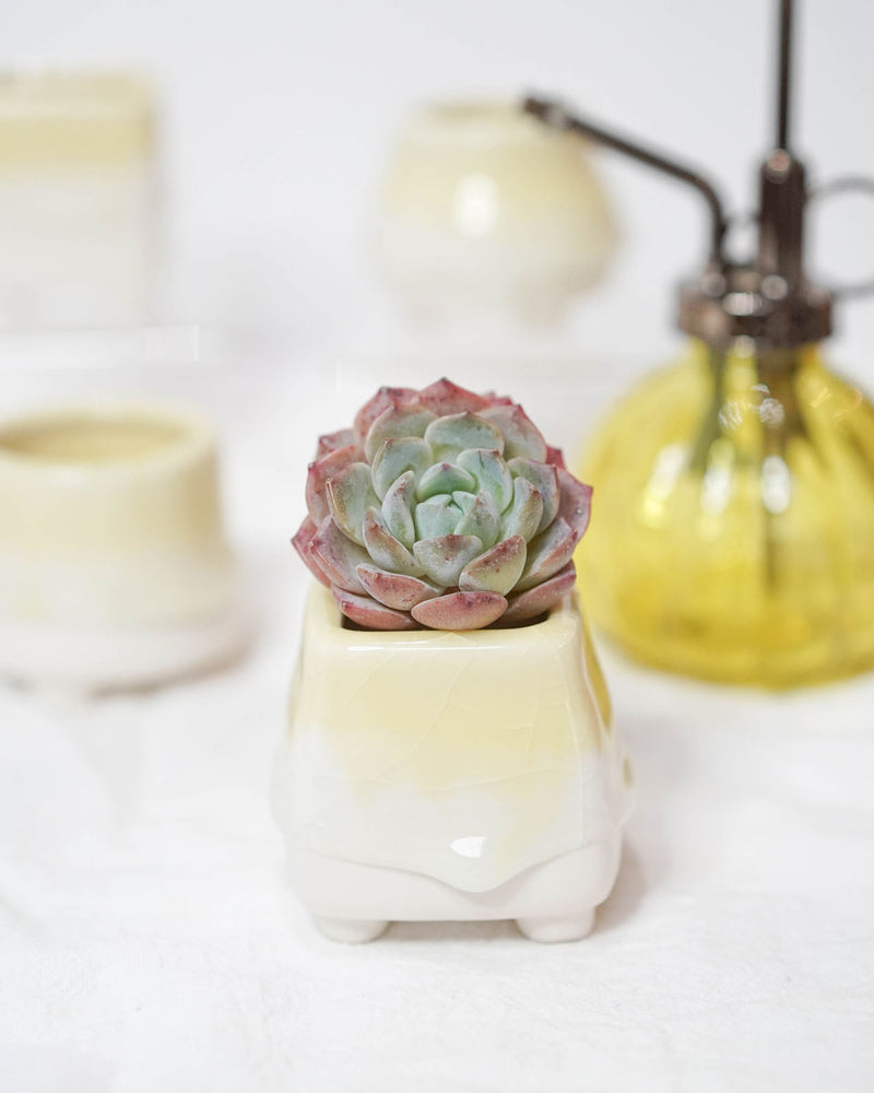 Dripping Glazed Finger Pots Yellow Color