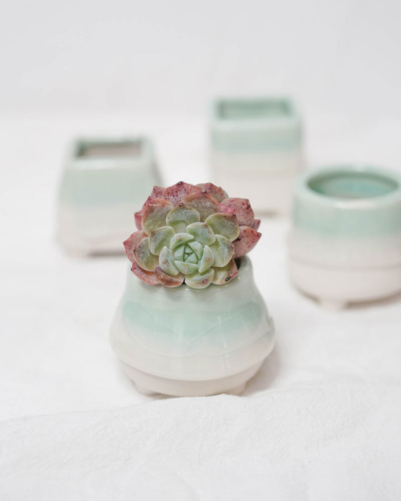 Dripping Glazed Finger Pots Green Color