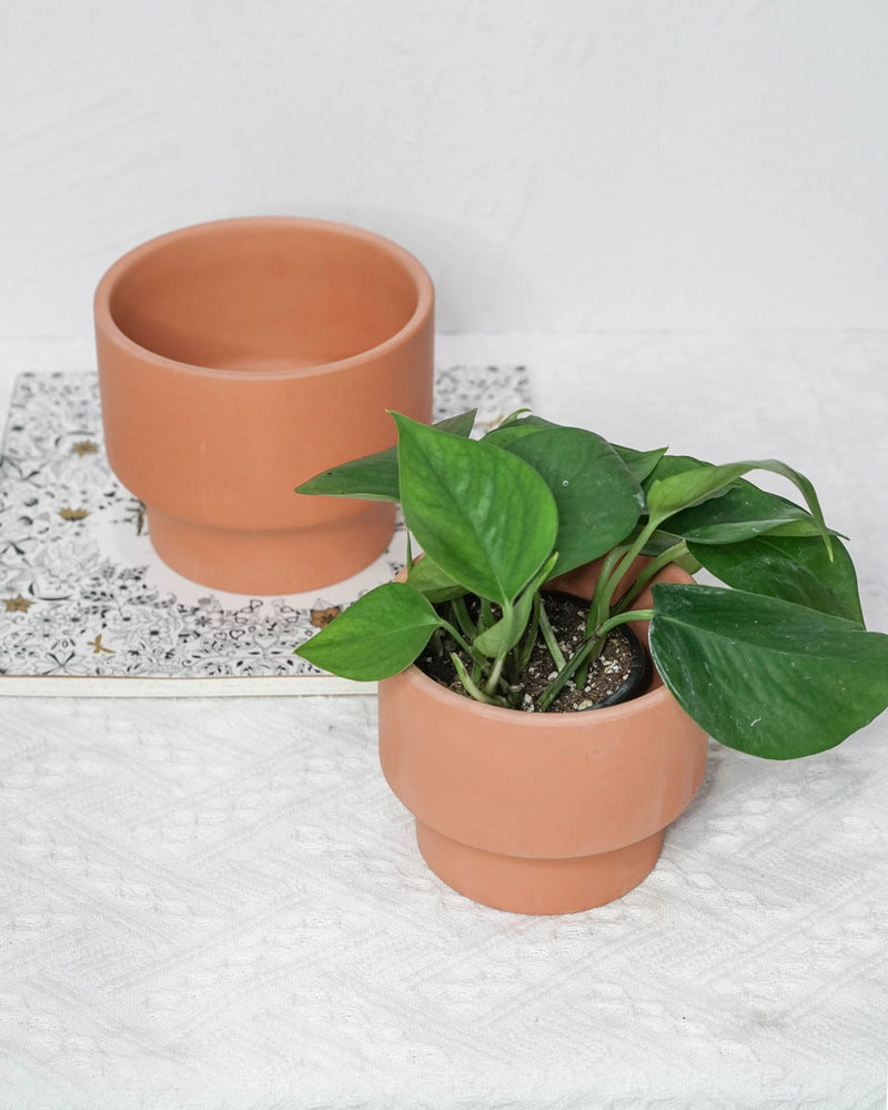 
                
                    Load image into Gallery viewer, Terra Cotta Planter
                
            