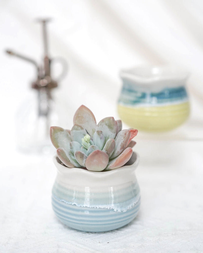 
                
                    Load image into Gallery viewer, Glazed Colourful Lotus
                
            