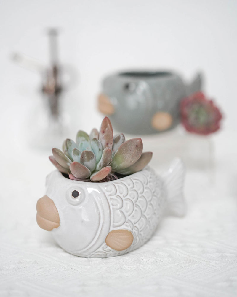 Glazed Fish