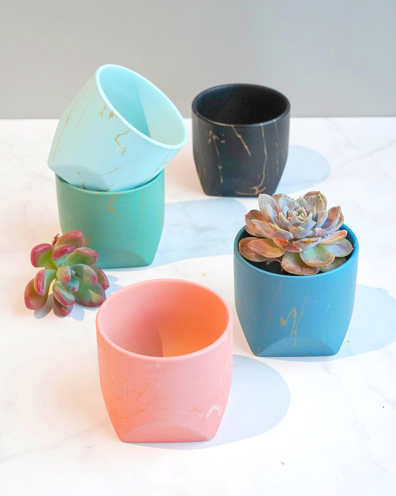Pots With Small Gold Flecks