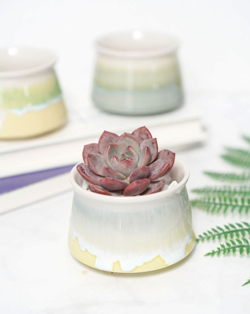 
                
                    Load image into Gallery viewer, Small Glazed Funnel Pots
                
            