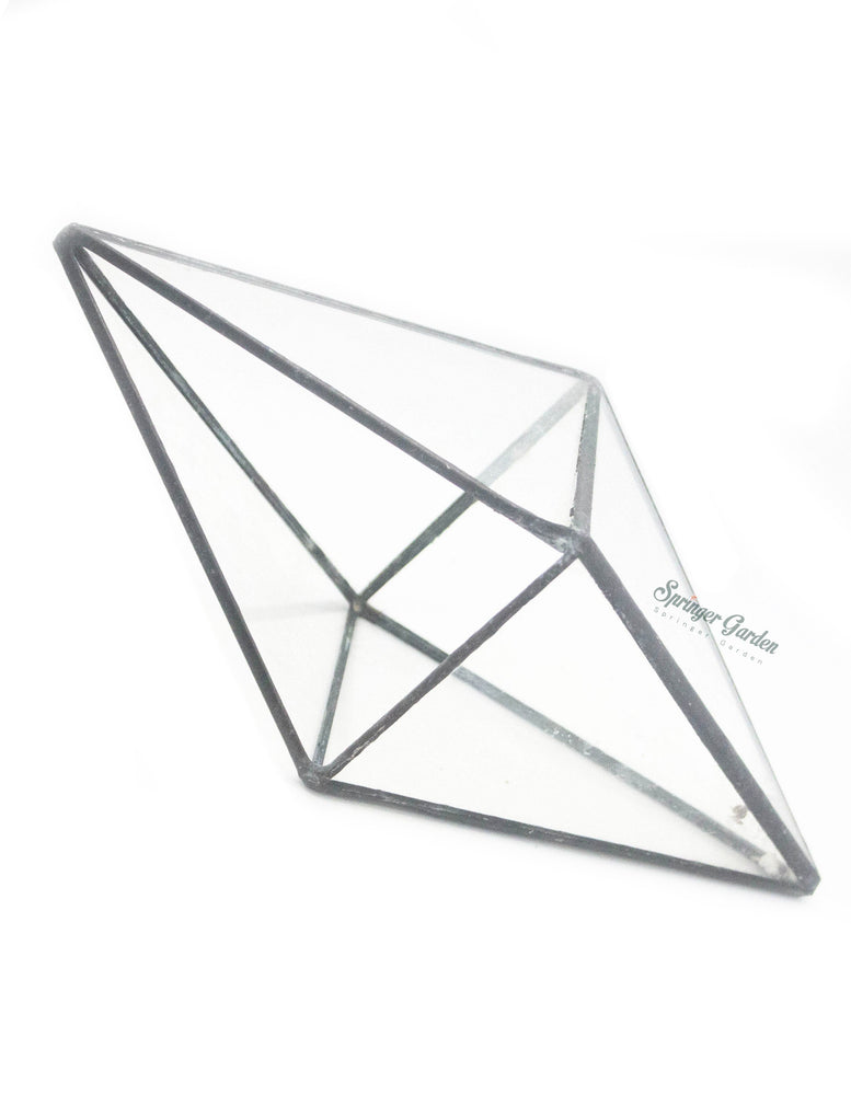 Diamond Geometric Terrarium
