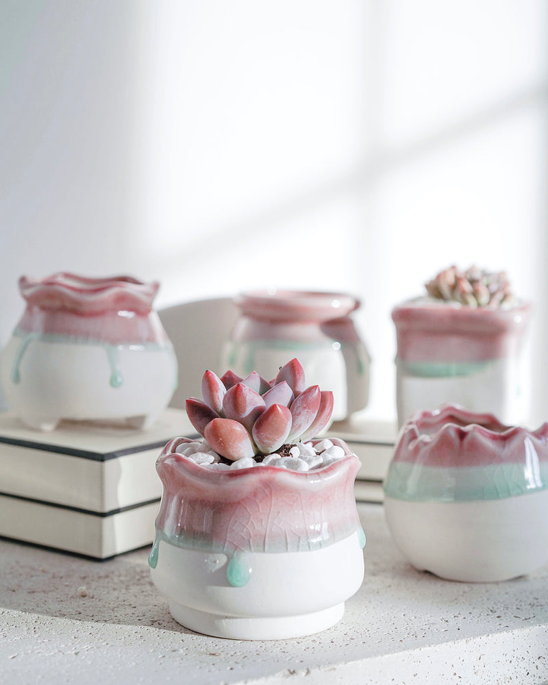 
                
                    Load image into Gallery viewer, Pink Bun Planter Gift Set
                
            