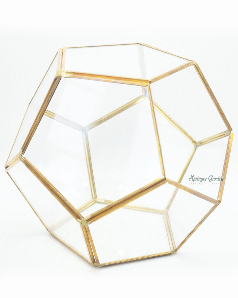 Golden Football Geometric Terrarium