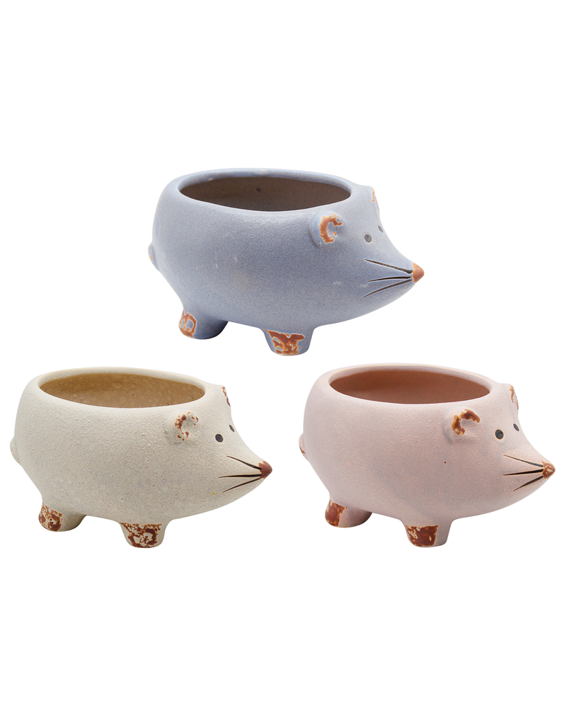Hedgehog Family