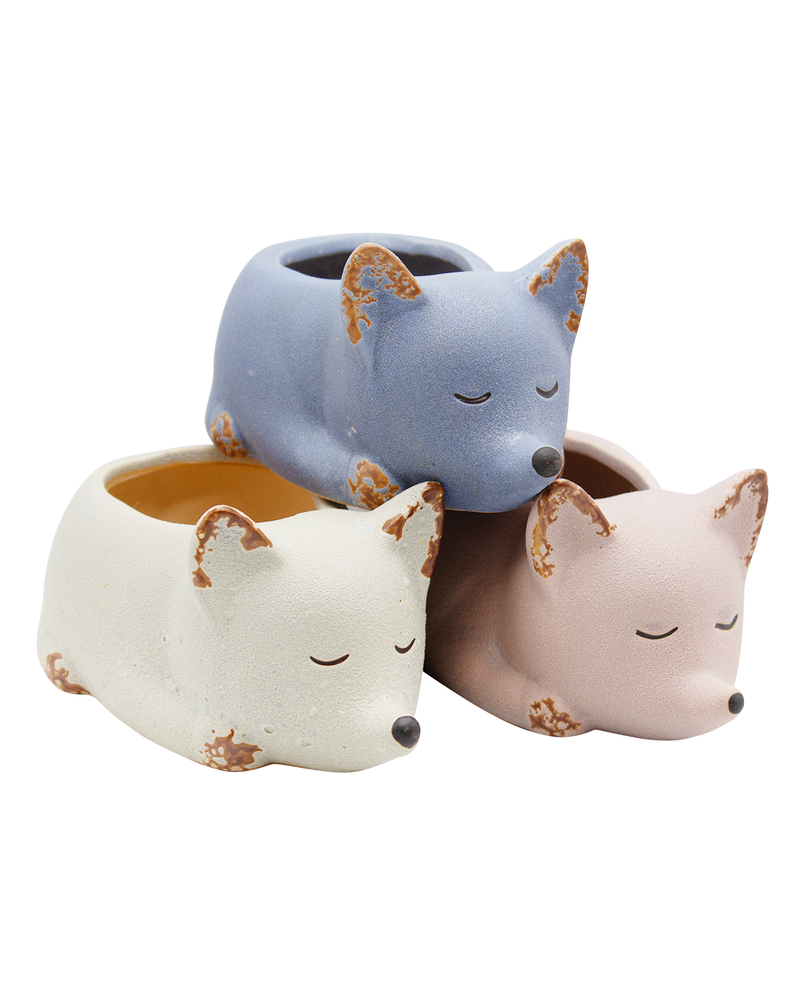 Fox Family