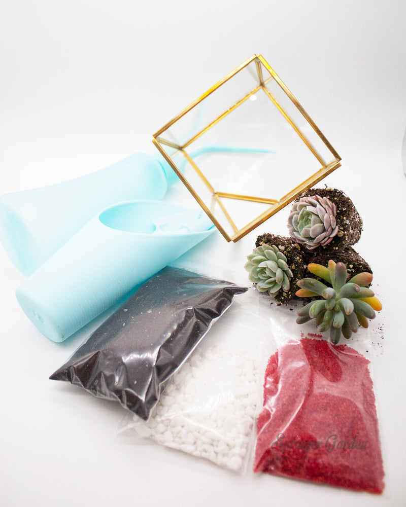 
                
                    Load image into Gallery viewer, DIY Succulents Terrarium Kit - Geometric Cube
                
            
