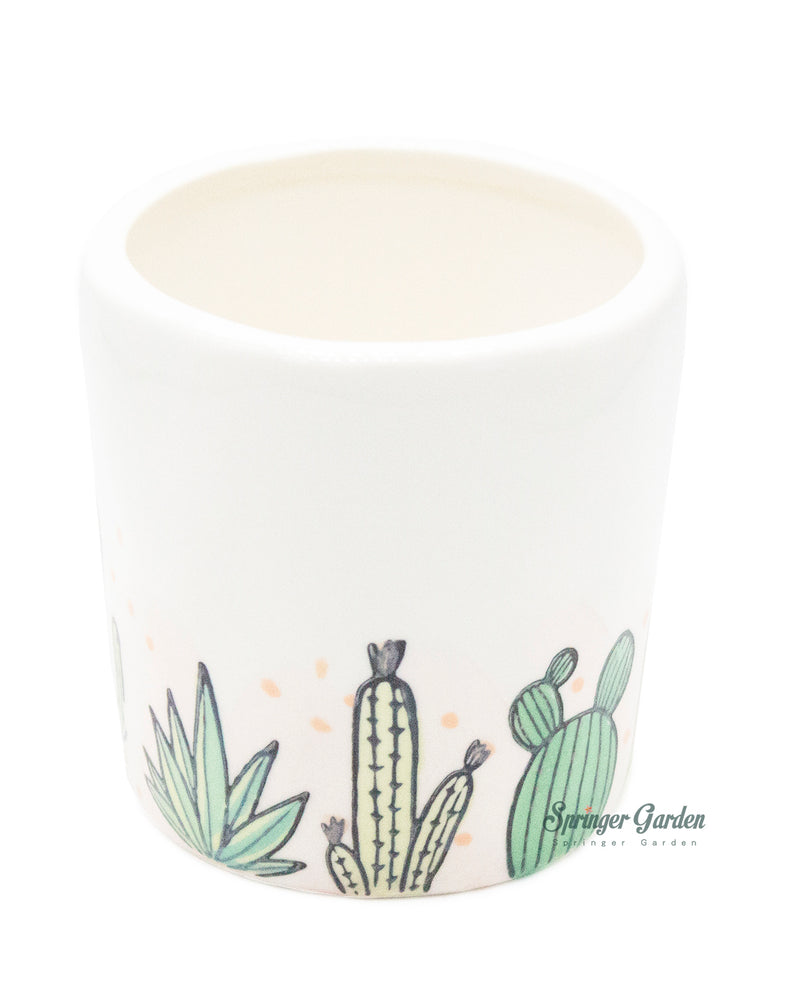 Cactus Pot