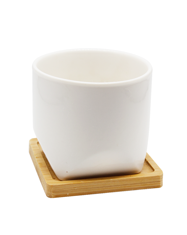 
                
                    Load image into Gallery viewer, White Cup with Saucer
                
            