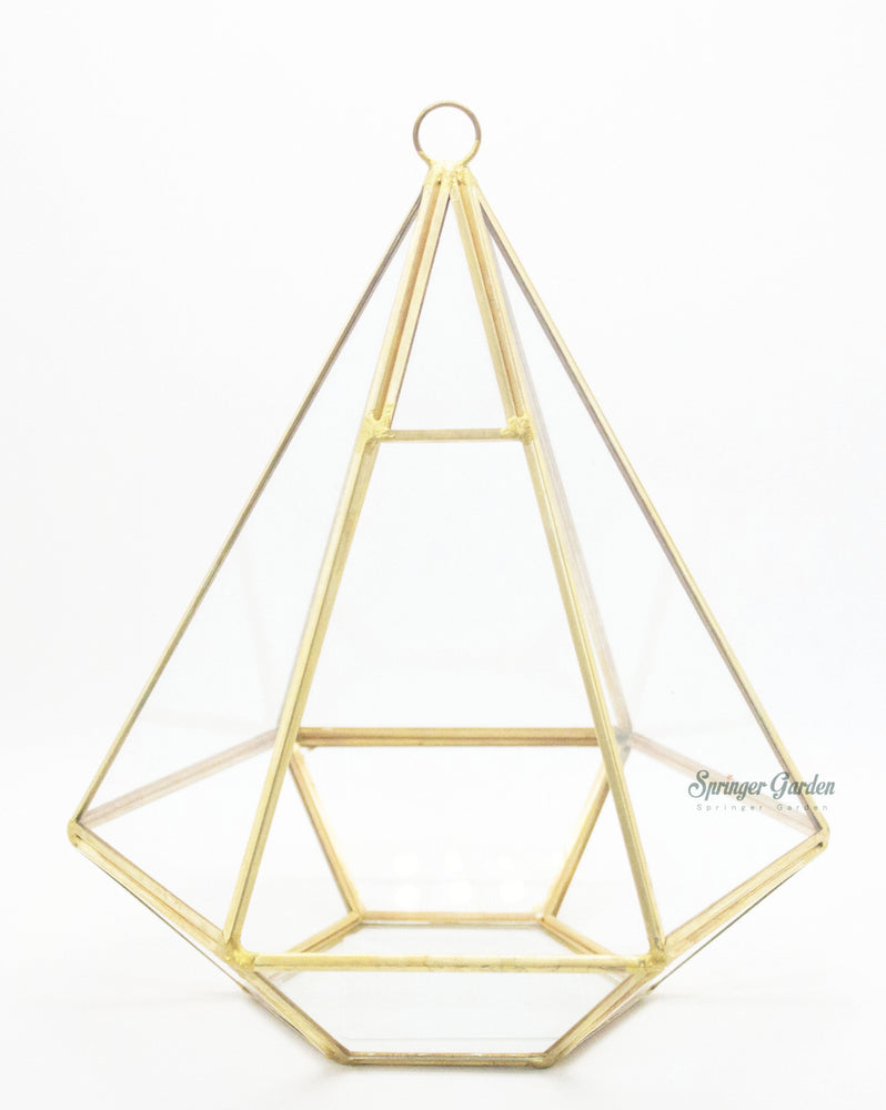 Golden Palace Geometric Terrarium