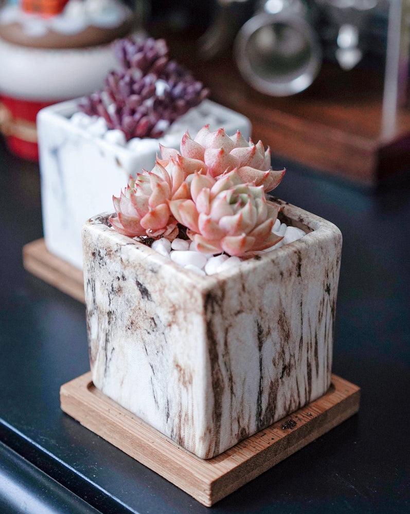 Marble Pattern Planter with Saucer Square