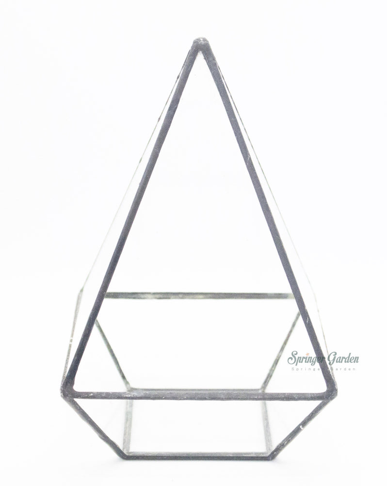 Triangle Geometric Terrarium