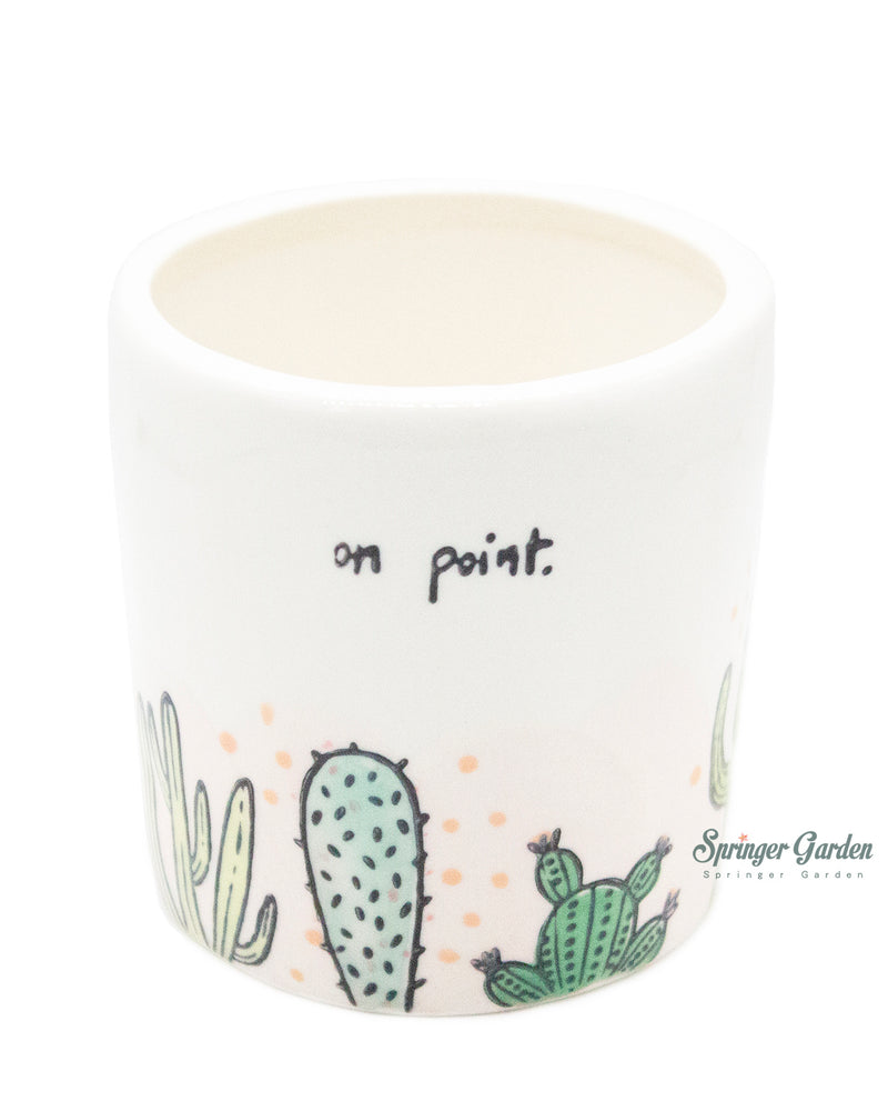 Cactus Pot