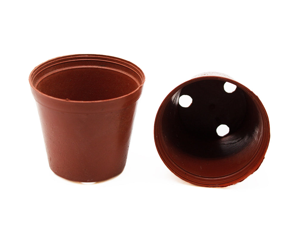 2" Plastic Nursery Pot / Set of 2