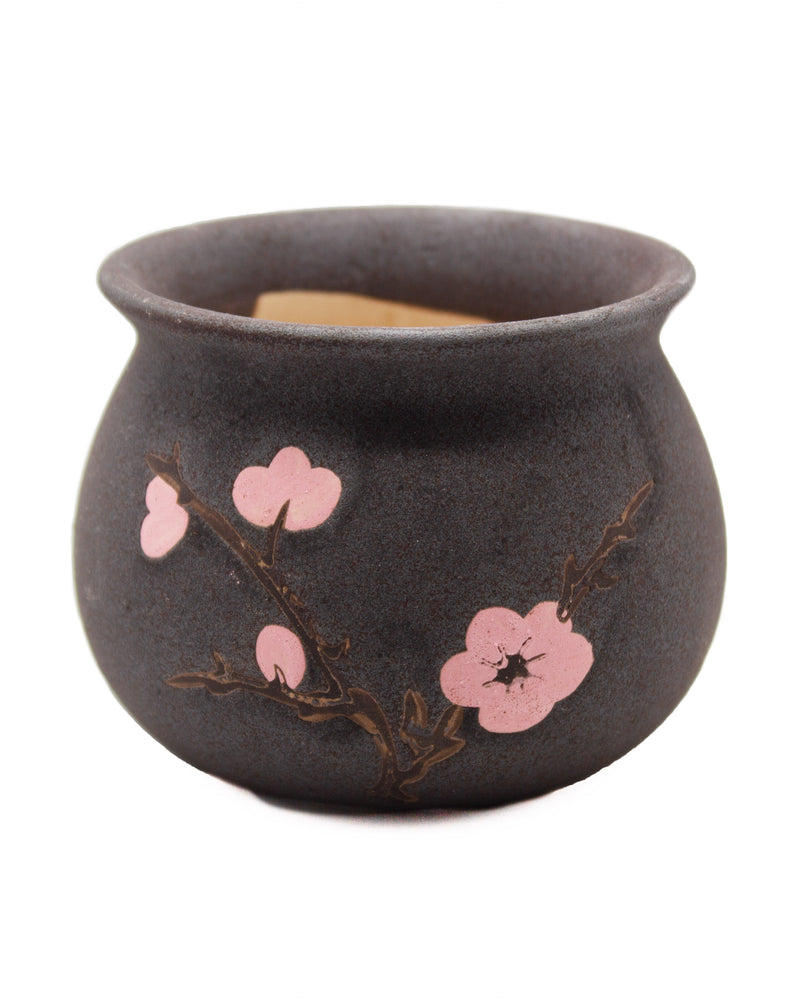 Cherry Blossom