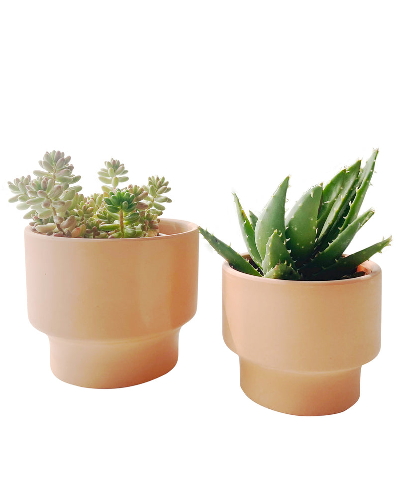 
                
                    Load image into Gallery viewer, Terra Cotta Planter
                
            