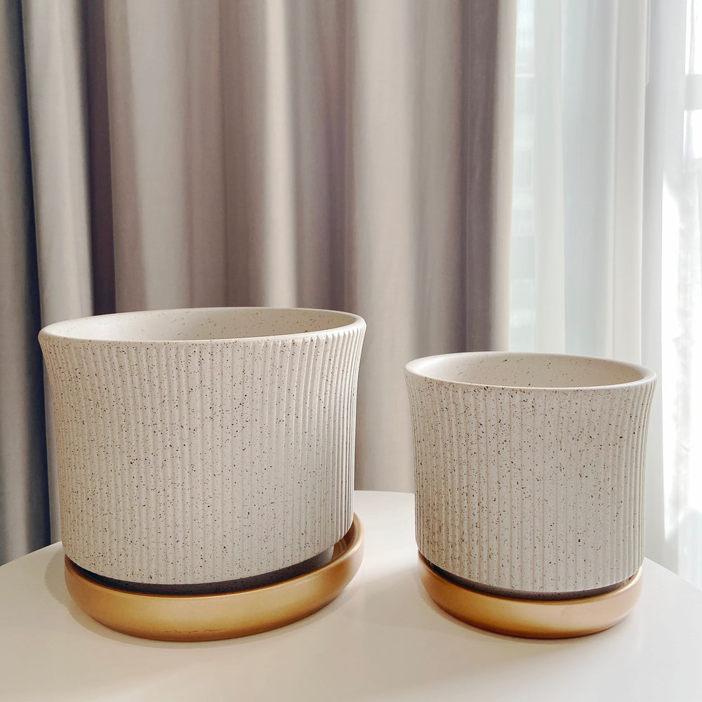 
                
                    Load image into Gallery viewer, Marble Texture with Saucer
                
            