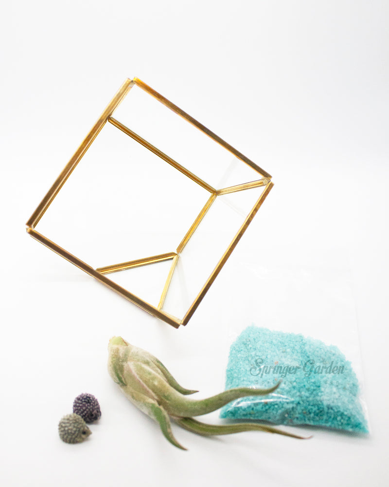 DIY Airplant Terrarium Kit - Geometric Cube