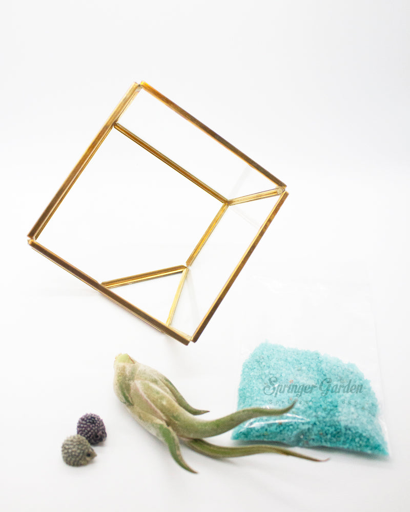 
                
                    Load image into Gallery viewer, DIY Airplant Terrarium Kit - Geometric Cube
                
            