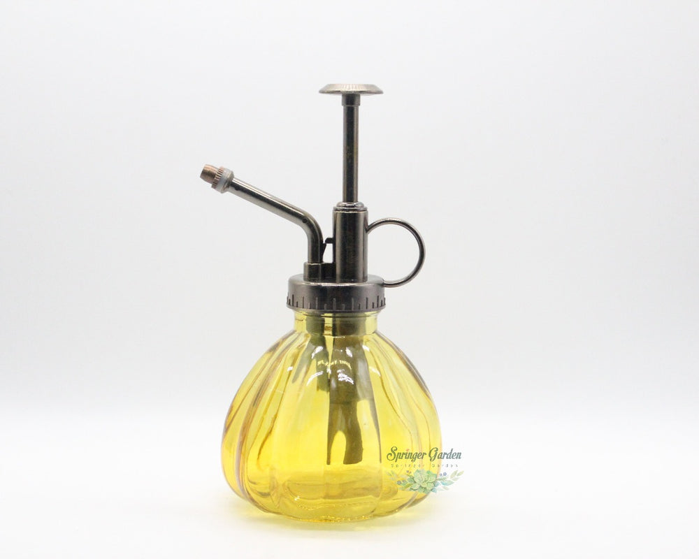 Glass Watering Spray Bottle