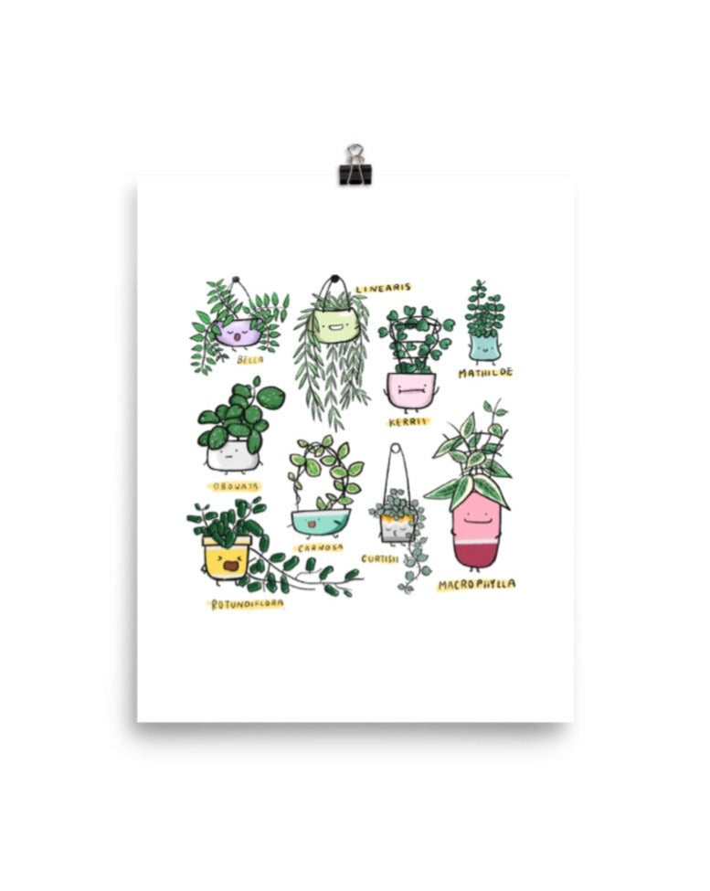 Hoya Family Art Print