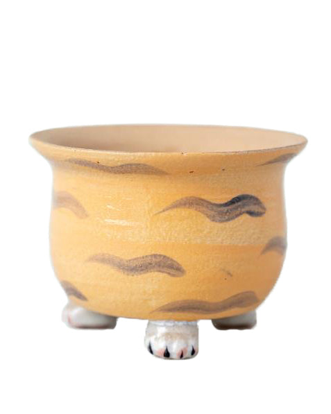 
                
                    Load image into Gallery viewer, Cat Paw Ginger
                
            